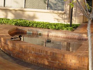 DSC01011.JPG