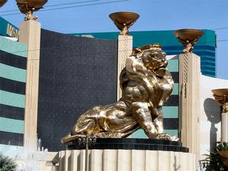 DSC01141 (Medium).JPG