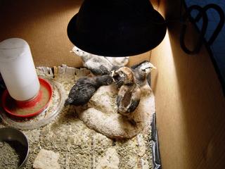 DSC01202.JPG
