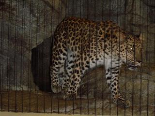DSC01238 (Medium).JPG