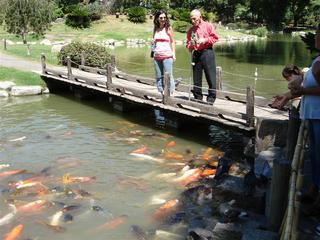 DSC01468 (Medium).JPG