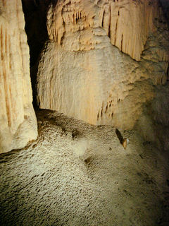 Jenolan_Cave.JPG