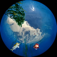KALUOKAHINA_02813.jpg