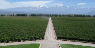 catena-andes.jpg