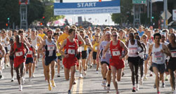 info251x134.jpg
