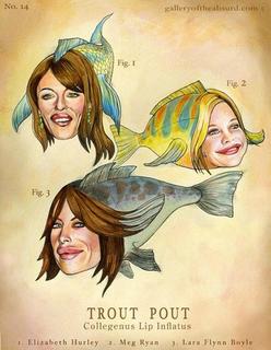 trout_poutslo.jpg