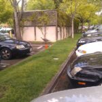 Second Week at Google